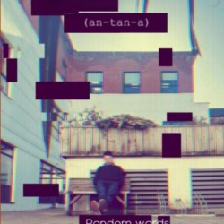 Antanna-IRL - Random words