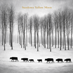 Sundown Yellow Moon- IRL - Cailin Alainn