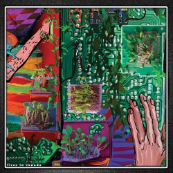 Whitehall -USA - Fires in Canada